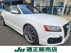 �����ǥ����������֥ꥪ�졡����ư�����ץ󡡥��롼������ȥ����롡�ܳץ�����
