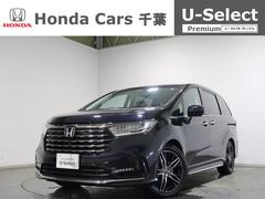 �ۥ�������ǥå����ϥ��֥�åɡ��塧�ȣţ֥��֥��롼�ȡ��ţء��ۥ��ǧ����ż֡����ҥǥ⥫��