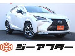 �쥯�������Σء��Σأ����������ƥ��ݡ��ġ��ر�֡�����������������ʥ�