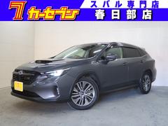 ���Х롡��������� �쥤�Хå�����ߥƥåɣţء���󥪡��ʡ����ر�֡�����롼��