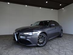 ����ե����ᥪ������ꥢ�����������������ر�֡���Ͽ������󥪡��ʡ�