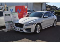 ���㥬�����أơ��ҡݥ��ݡ��ġ������ץƥ��֥��롼������ȥ����롡�졼�󥭡��ԥ󥰡��ţԣ�