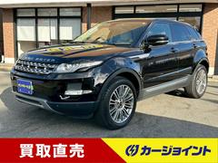 ���ɥ����С�����󥸥����С��������������ԥ奢�����ףġ��ѥΥ�ޥ��饹�롼�ա��쥶��������