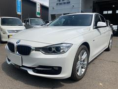 �£ͣס������꡼�����������䥹�ݡ��ġ��Хå�����顡�ʥӡ����ꥢ��󥹥��ʡ�