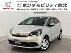 �ۥ�����ե��åȡ��塧�ȣţ֥ۡ��ࡡ�������꡼�ʥӡ��ɥ饤�֥쥳�������������쥹