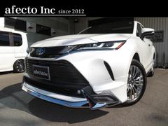 �ϥꥢ���ϥ��֥�å� �ڡ��쥶���ѥå�����