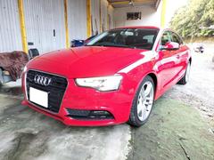 �����ǥ����������ݡ��ĥХå��������ףġ��ɥ饤�֥쥳�����������ꥢ��󥹥��ʡ�