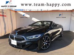 �£ͣס������꡼�����������顡���֥ꥪ�졡�ͥ��ݡ��ġ��������ʡ�