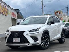 �쥯�������Σء��Σأ��������ƥ��ݡ��ġ����ץ����ȡ������ʥ�