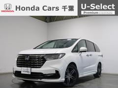 �ۥ�������ǥå����ϥ��֥�åɡ��塧�ȣţ֥��֥��롼�ȡ��ţء����ҥǥ⥫����������������ʥ�
