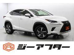 �쥯�������Σء��Σأ������衡�ɥѥå������������ʥӡ��ե륻��