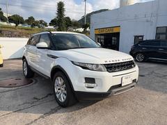 ���ɥ����С�����󥸥����С��������������ԥ奢���ԥ奢�������ʥӡ��ꥢ