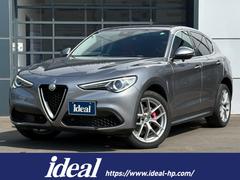����ե����ᥪ�����ƥ���������ե������ȥ��ǥ��������ư�ֳץ����ȡ��̣ţĥ饤�ȡ������������������