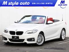 �£ͣס������꡼�����������饫�֥ꥪ�졡�ͥ��ݡ��ġ����ͷڸ��֥졼���������ȡ�������������