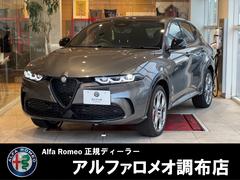 ����ե����ᥪ���ȥʡ��졡�ץ饰����ϥ��֥�åɣѣ�������롼�ե��ǥ�����󡡸���֡�����롼��
