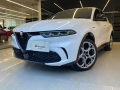 ����ե����ᥪ �ȥʡ��� ������������