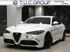 ����ե����ᥪ������ꥢ�������ɥ�ե��ꥪ���ɣ��ãá��졼�󥢥����ȡ�Ⱦ��