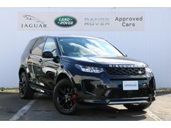 ���ɥ����С����ǥ������Х꡼���ݡ��ġ������ʥߥå����ӣš��ģ��������������̥ǥ������륿����