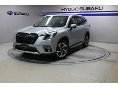�ե��쥹���� ���ɥХ󥹡����������ȡ������奢�������ȡ��緿����롼��