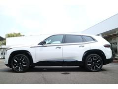�أ� �١������졼�ɡ������ǥ��ݥ�ݼ� 9200004A30250823W001 3