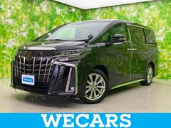 �ȥ西������ե����ɡ��ӥ����ץ�����ɡ�����롼�ա��ݾڽ񡡥ǥ����ץ쥤�����ǥ����ܥʥӣ������