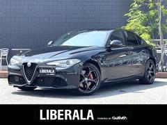 ����ե����ᥪ������ꥢ�������������������꡼�ʥӡ��ţԣá��Хå������