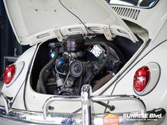 ������I ������������ǯ�������ꥸ�ʥ륵��롼���դ� 9500020A30241227W001 7