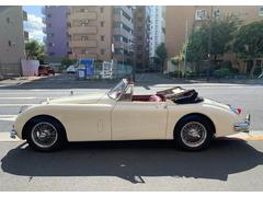 ���㥬������¾ �أˣ��������ӣš��ģȣá��أˣ��������ӣ� 9560025A30231025W001 5