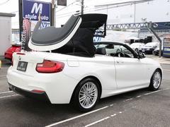 �����꡼�� �������饫�֥ꥪ�졡�ͥ��ݡ��ġ����ͷڸ��֥졼���������ȡ������������ȡ��ر� 9571539A30250828W001 7
