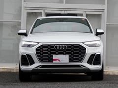 �ӣѣ� �١������졼�ɡ�����롼�ա������ѡ���åɡ������ʥߥå����ƥ���󥰡��쥶�� 9571795A30251123W001 2