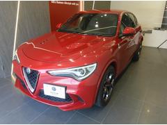 ���ƥ������ �����ɥ�ե��ꥪ 9572416A30250808W001 4