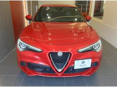 ���ƥ������ �����ɥ�ե��ꥪ 9572416A30250808W001 6