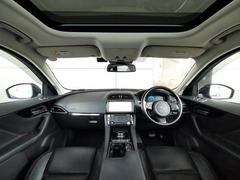 �ƥڥ��� �ץ쥹�ơ��������ףġ��ر�֡����饤�ǥ��󥰥�ݥա����ǥ����� 9572504A30250929W001 4