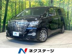 �ȥ西������ե����ɡ��������ӡ��åѥå������������������ʥӡ��Хå������