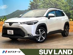 �ȥ西���������饯�������ϥ��֥�åɡ��ڡ�������������������ʥӡ����饹�롼��
