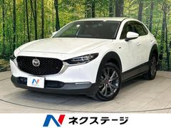 �ޥĥ����ãءݣ����������ӡ���������ǯ���̵�ǰ�֡��ޥĥ����ͥ��ȥʥӡ������ϥ����