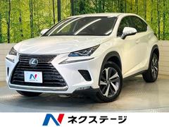 �쥯�������Σء��Σأ��������С������̡������եƥ����󥹡����������������ʥ�