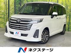 �ȥ西���롼�ߡ�����������ǡ��ر�֡������ʥӡ������ϥ����