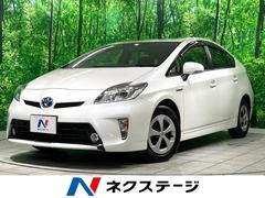�ȥ西���ץꥦ�����ӡ�����������ʥӡ��Хå������