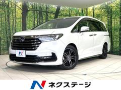 �ۥ�������ǥå����ϥ��֥�åɡ��塧�ȣţ֥��֥��롼�ȡ��ţء��ر�֡��ե�åץ�����