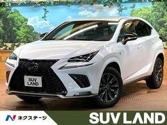 �쥯�������Σء��Σأ���������������֥饤�ȡ������������ʥӡ��Хå������