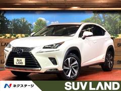 �쥯�������Σء��Σأ������衡�ɥѥå����������������������ʥӡ��ѥΥ�ߥå��ӥ塼��˥���