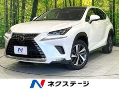 �쥯�������Σء��Σأ������衡�ɥѥå���������������饹�롼��