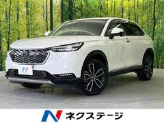 �ۥ�����������롡�塧�ȣţ֡��ڡ����������ʥӡ��ر��