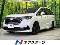 �ۥ�������ǥå����ϥ��֥�åɡ��塧�ȣţ֥��֥��롼�ȡ��ţء�ξ¦��ư�ɥ������ʥ�˥���