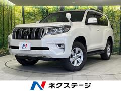 �ȥ西�����ɥ��롼�����ץ�ɡ��ԣء�����롼�ա����������ʥӡ��Хå������