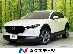 �ޥĥ����ãءݣ������أġ��ץ������ƥ��֡��ġ���󥰥��쥯����󡡽������������ʥ�