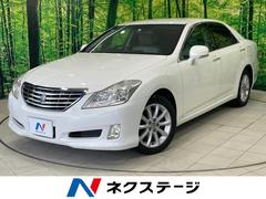 �ȥ西�����饦�󡡥�����륵�롼�󡡥ʥӥѥå��������ر�֡��᡼�����ʥ�