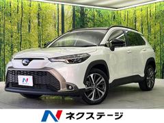 �ȥ西���������饯�������ϥ��֥�åɡ��ڡ��ѥΥ�ޥ롼�ա��ǥ����ץ쥤�����ǥ����ץ饹