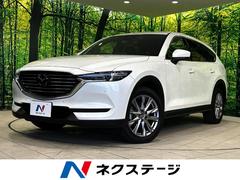 �ޥĥ����ãءݣ��������ӡ��ץ������ƥ��֡����;�ꡡ�����ϥ����